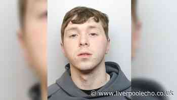 'Scouse Tommy' tells judge 'I've made mistakes' after what he did when mum was slapped