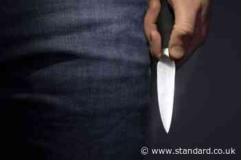 Knife murders drop by a quarter in two years in UK
