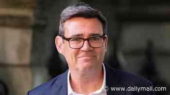 What a shameless stitch-up! Burnham WILL be PM after 322 Labour MPs back him - but voters still know almost nothing of what he stands for