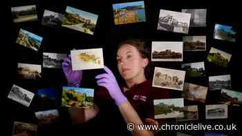 Postcards 'at risk of disappearing', English Heritage says