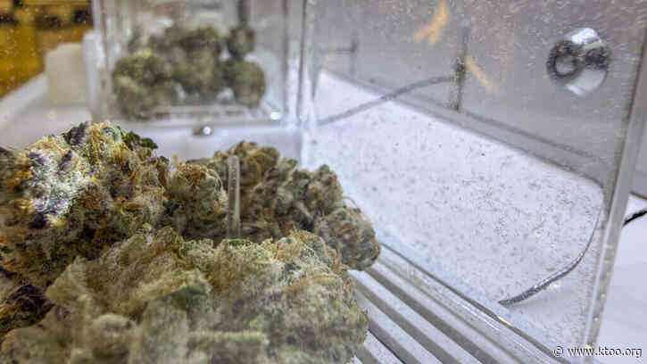 Alaskans with certain low-level marijuana convictions can keep record private under new law