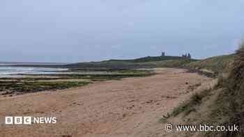 Work to shore up storm-damaged coast