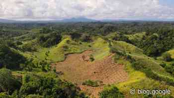 We’re boosting agroforestry efforts to help the atmosphere and farmer livelihoods.