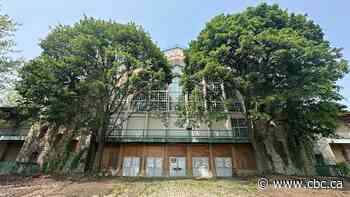 Possible heritage designation in the works for Boblo Island dance hall, carousel building