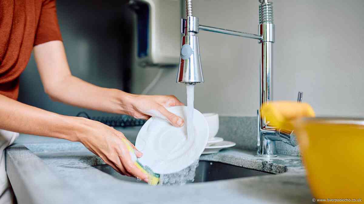 Washing up is so much quicker now I use £2.50 item that everyone should have