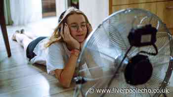 Brits urged to check crucial appliance in heatwave