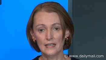 Telstra CEO steps off the plane and into the lion's den: Vicki Brady cops brutal questions about tech fail, her huge salary and bonuses at fiery press conference