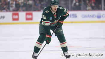 Wild sign Spacek, Bankier to one-year contracts