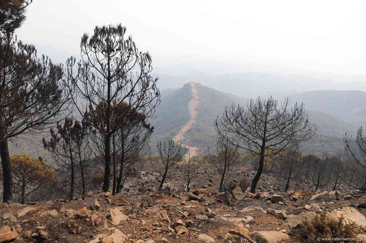 Mindestens zwölf Tote bei Waldbrand im Süden Spaniens