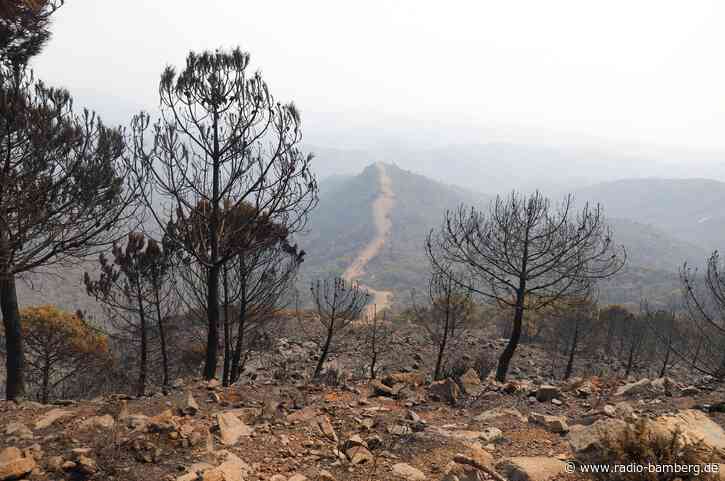 Mindestens zwölf Tote bei Waldbrand im Süden Spaniens