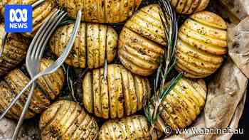 How to choose the right potato for any meal you're cooking