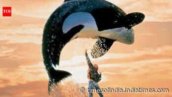 'Free Willy' set for a long-awaited comeback