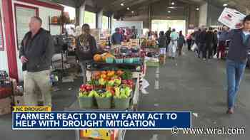 Farmers react to 'drops from heaven' and a new law to help mitigate drought