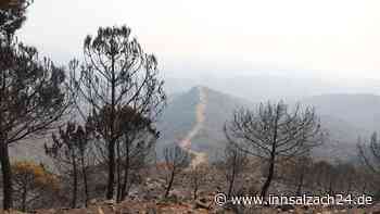 Mindestens zwölf Tote bei Waldbrand im Süden Spaniens