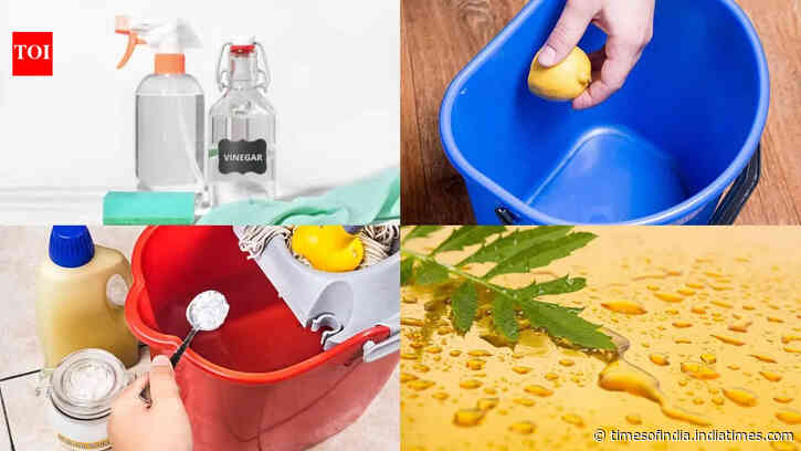 7 Natural floor cleaners that may help keep flies, ants and monsoon pests away
