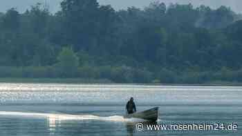„Krass“ – keine Fische mehr im Chiemsee? Fischereichef über ein „Riesenproblem“