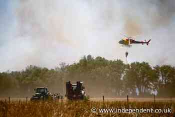 At least 12 people dead as wildfires spread through southern Spain