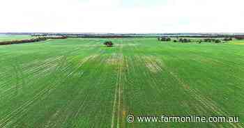 Mallee cropping block hits the market during the growing season
