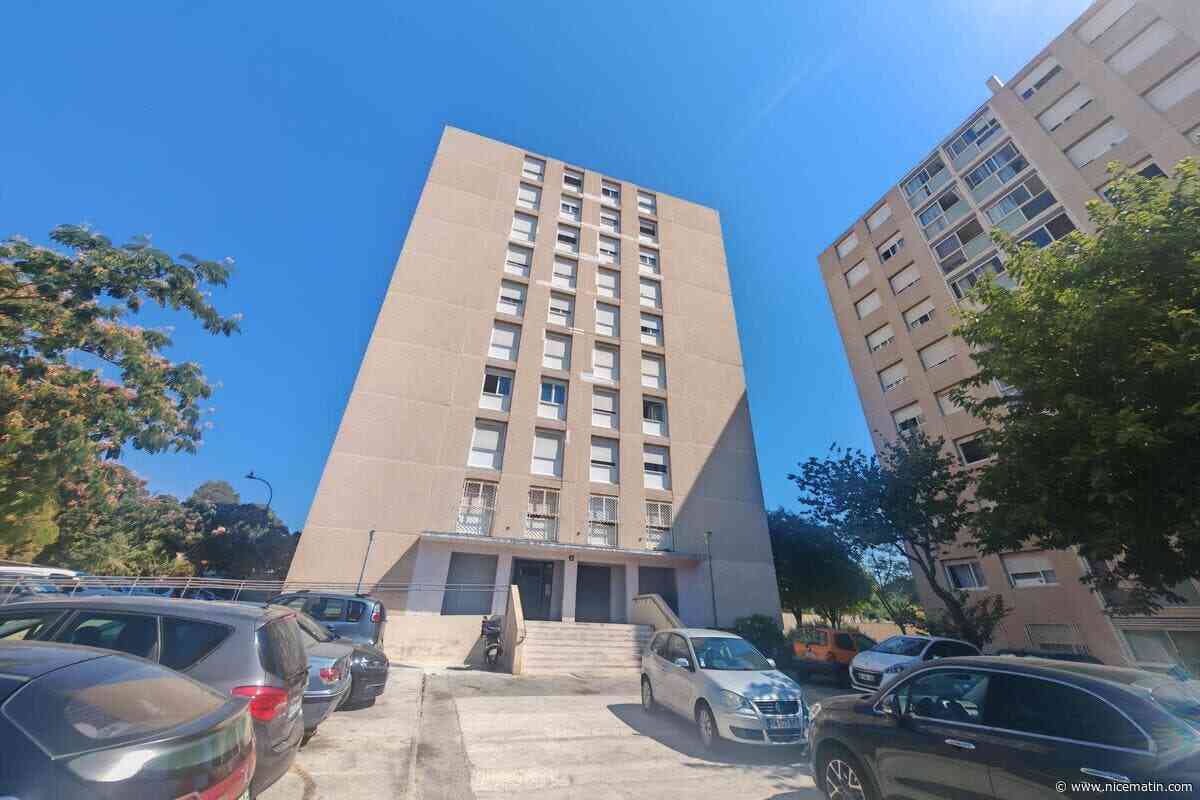 « Certains locataires doivent gravir quotidiennement 9 étages par cette chaleur, malgré leur âge ou leur état de santé » : dans cette cité de La Seyne, plus de 3 semaines sans ascenseur et des nerfs à vif