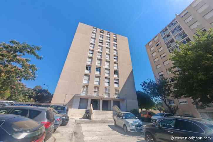 « Certains locataires doivent gravir quotidiennement 9 étages par cette chaleur, malgré leur âge ou leur état de santé » : dans cette cité de La Seyne, plus de 3 semaines sans ascenseur et des nerfs à vif