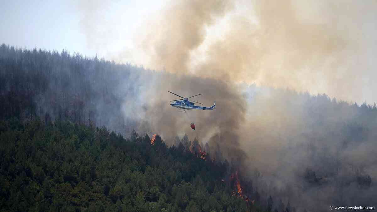 LIVE | Twaalf doden bij bosbrand in Andalusië, slachtoffers probeerden in hun auto te vluchten