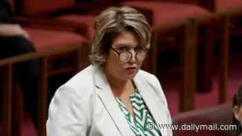 Liberal senator Kerrynne Liddle's claim an Aussie died during Telstra outage debunked by police - as cops condemn the public airing of a family's grief