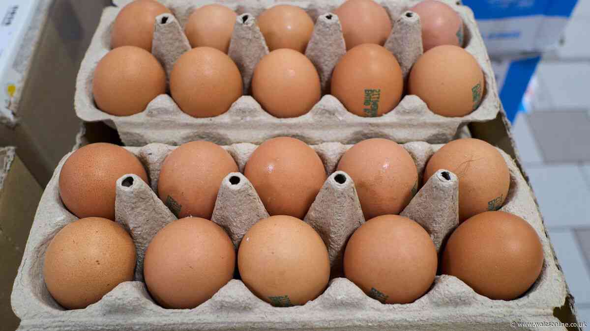 Should eggs be stored in the fridge or cupboard? I asked four chefs for their verdict