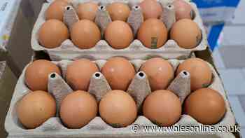 Should eggs be stored in the fridge or cupboard? I asked four chefs for their verdict