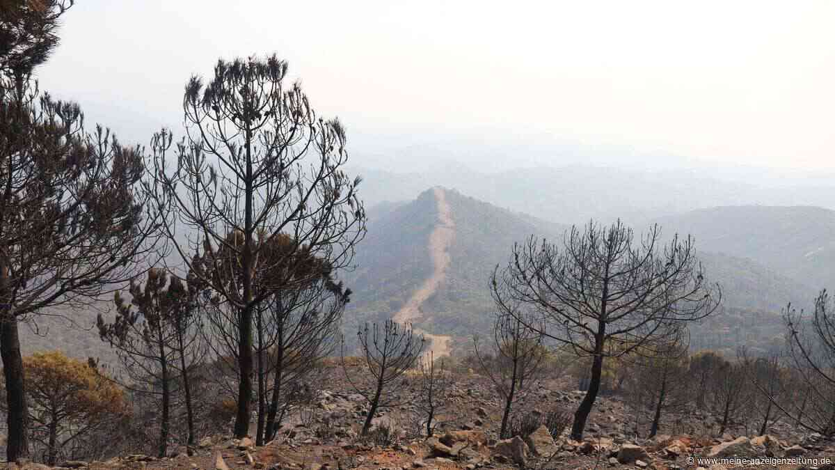 „Der Schmerz ist unermesslich“: Mindestens zwölf Tote bei Waldbrand in Spanien