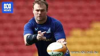 'That's not good enough': Wallabies determined to end losing run