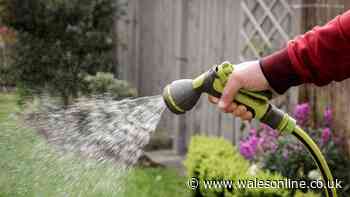 Hosepipe ban for 5million more people 'with immediate effect'