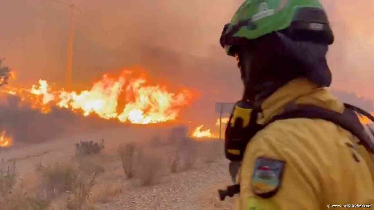 Zeker twaalf doden door bosbranden in Zuid-Spanje, mensen zaten vast in auto