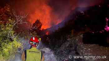 Los Gallardos wildfire live: At least 12 dead in Spain as bodies found in cars