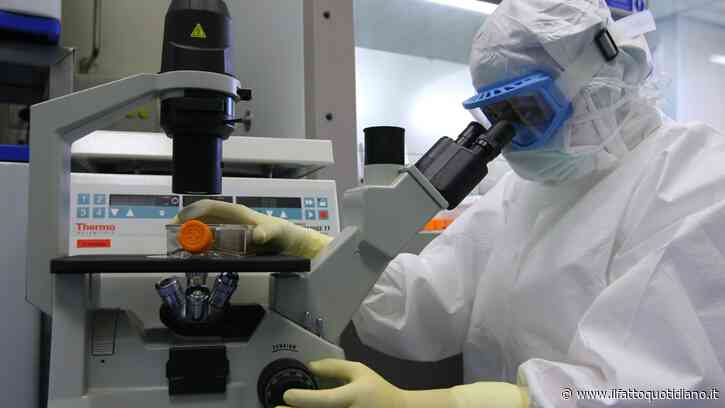 Parkinson, i neuroni ottenuti da staminali superano la prova della sicurezza. Gli studi con strategie differenti