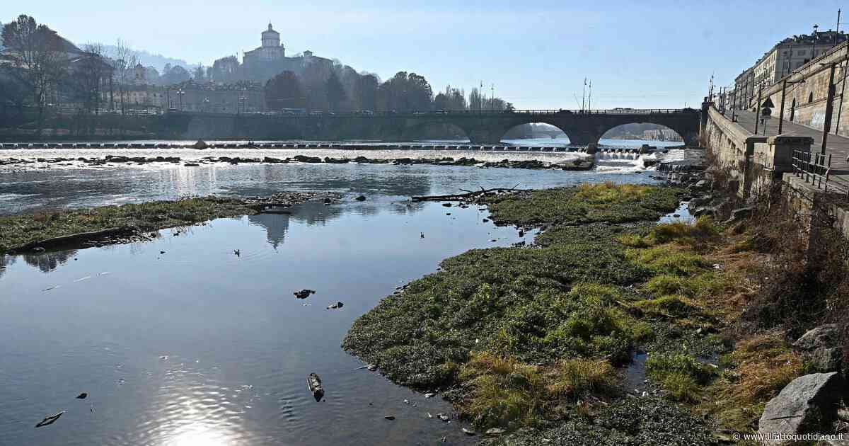 Come contrastare la mancanza d’acqua in Piemonte? L’ideona di Fratelli d’Italia: svuotare i fiumi. Gli attivisti: “È incostituzionale”