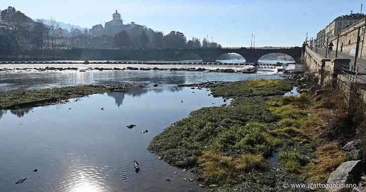 Come contrastare la mancanza d’acqua in Piemonte? L’ideona di Fratelli d’Italia: svuotare i fiumi. Gli attivisti: “È incostituzionale”