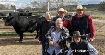Northtor Angus sells to $20,000 three times at third annual bull sale