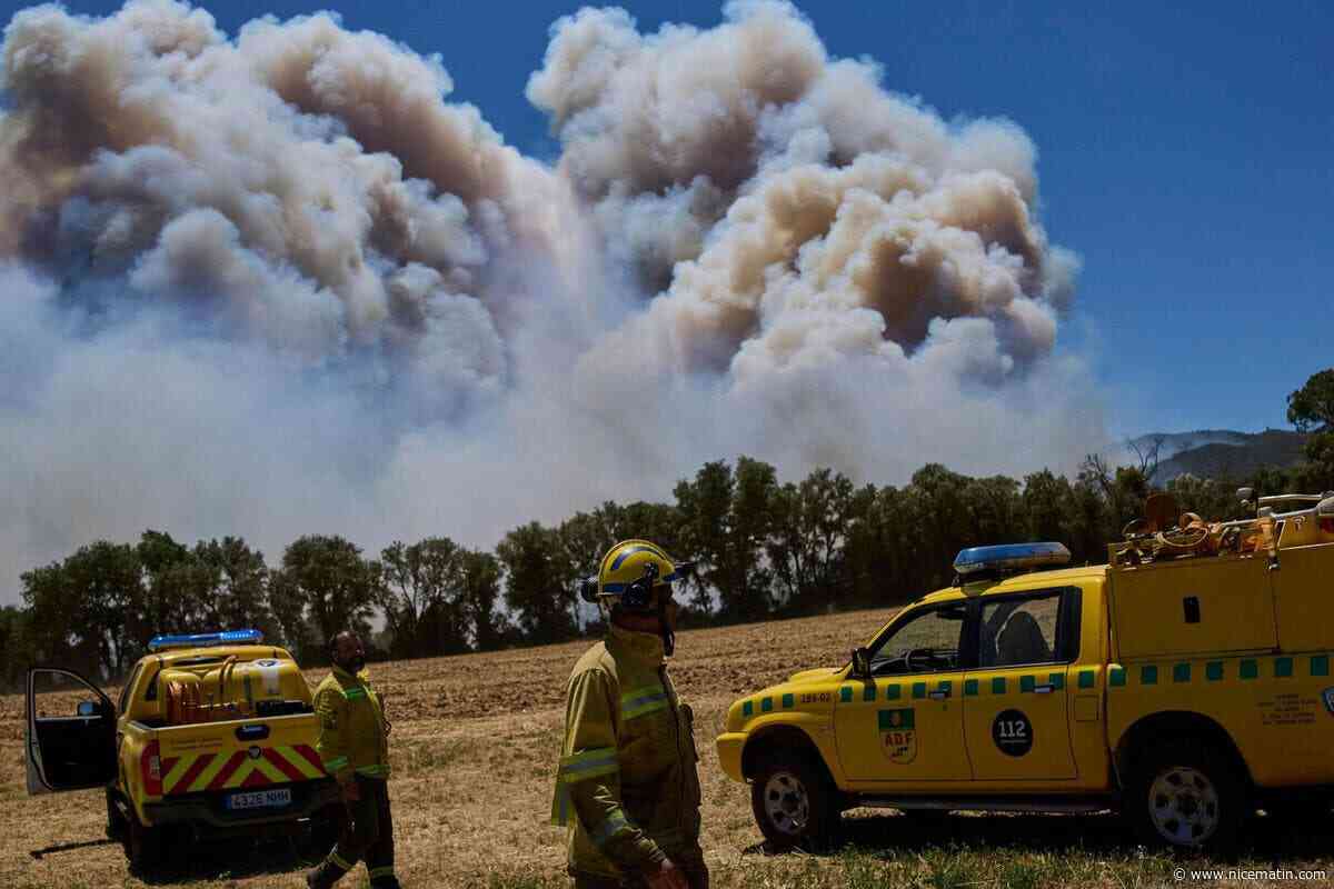 Incendies en Espagne : un énorme feu de forêt fait 12 morts à Almería en Andalousie, une phase d’urgence a été déclenchée par les autorités régionales