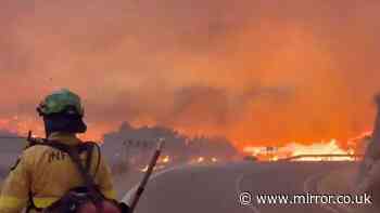 Los Gallardos wildfire live: 'Brits' among 11 dead in Spain as bodies found in cars