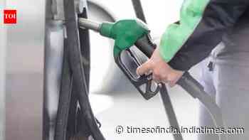 E20 costlier to produce than pure petrol: Government
