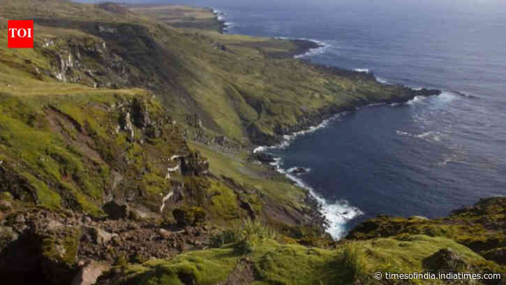 Six helicopters will drop 550 tons of poison on this island in the Indian Ocean: Why a project is spending $10 million on the exercise
