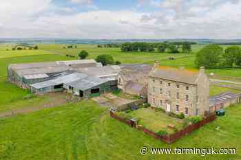 Renowned Northumberland herdsman's farm comes to market for £4m