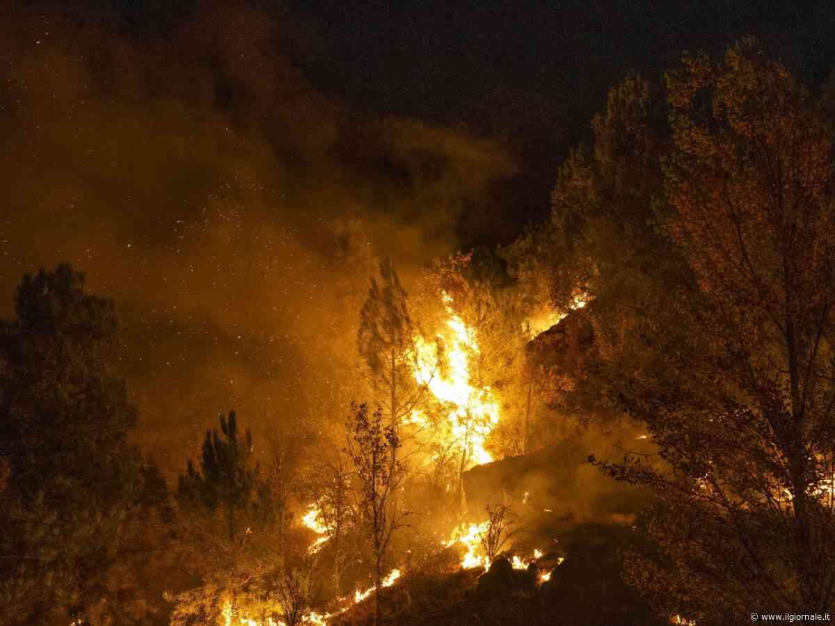 Cavo elettrico cade a terra e prende fuoco un bosco: almeno 12 morti in Andalusia