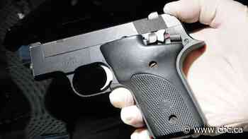 Rates of gun-related intimate partner violence rising: StatsCan