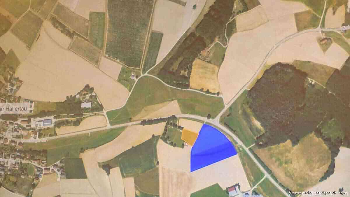 Kühe und Schafe unter Solarpanelen: Agri-PV-Anlage in Au startet in drei Monaten