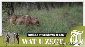 Stelling: nieuwe aanpak wolf nodig