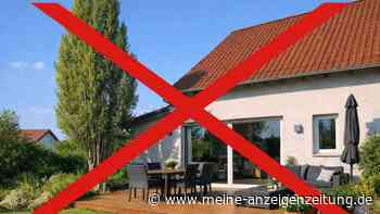 Bäume, die du nicht in der Nähe deines Hauses haben willst – wie Wurzeln das Fundament beschädigen können