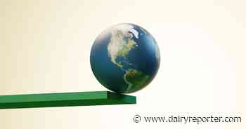 Global dairy’s Big 7 pivot to protein and cheese