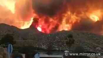 Los Gallardos wildfire live: 'At least 4 Brits dead' in Spain as bodies found in cars
