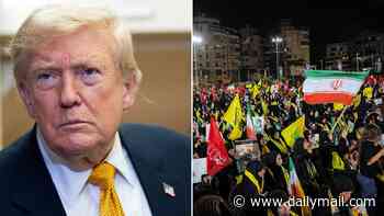 Trump launches 'Operation B**** Slap' in retaliation for Iran shooting ships in Strait of Hormuz: 'Going with his gut'